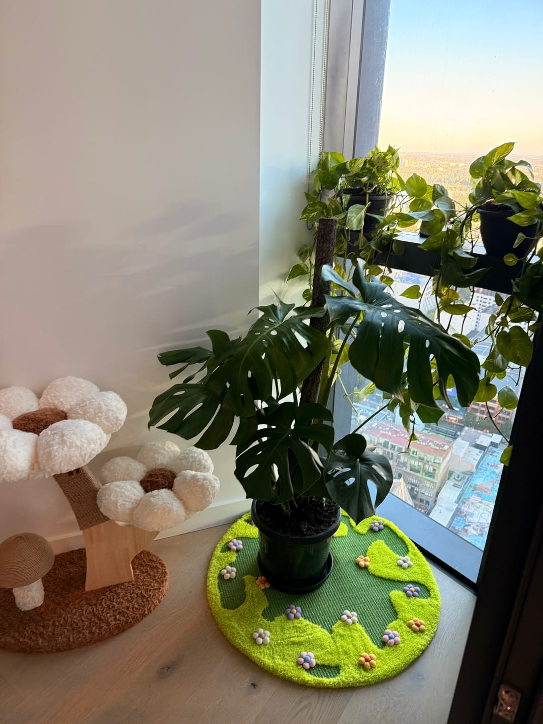 Customer photo review of Flower Meadow Sisal Cat Round Scratching Rug  (81cm)