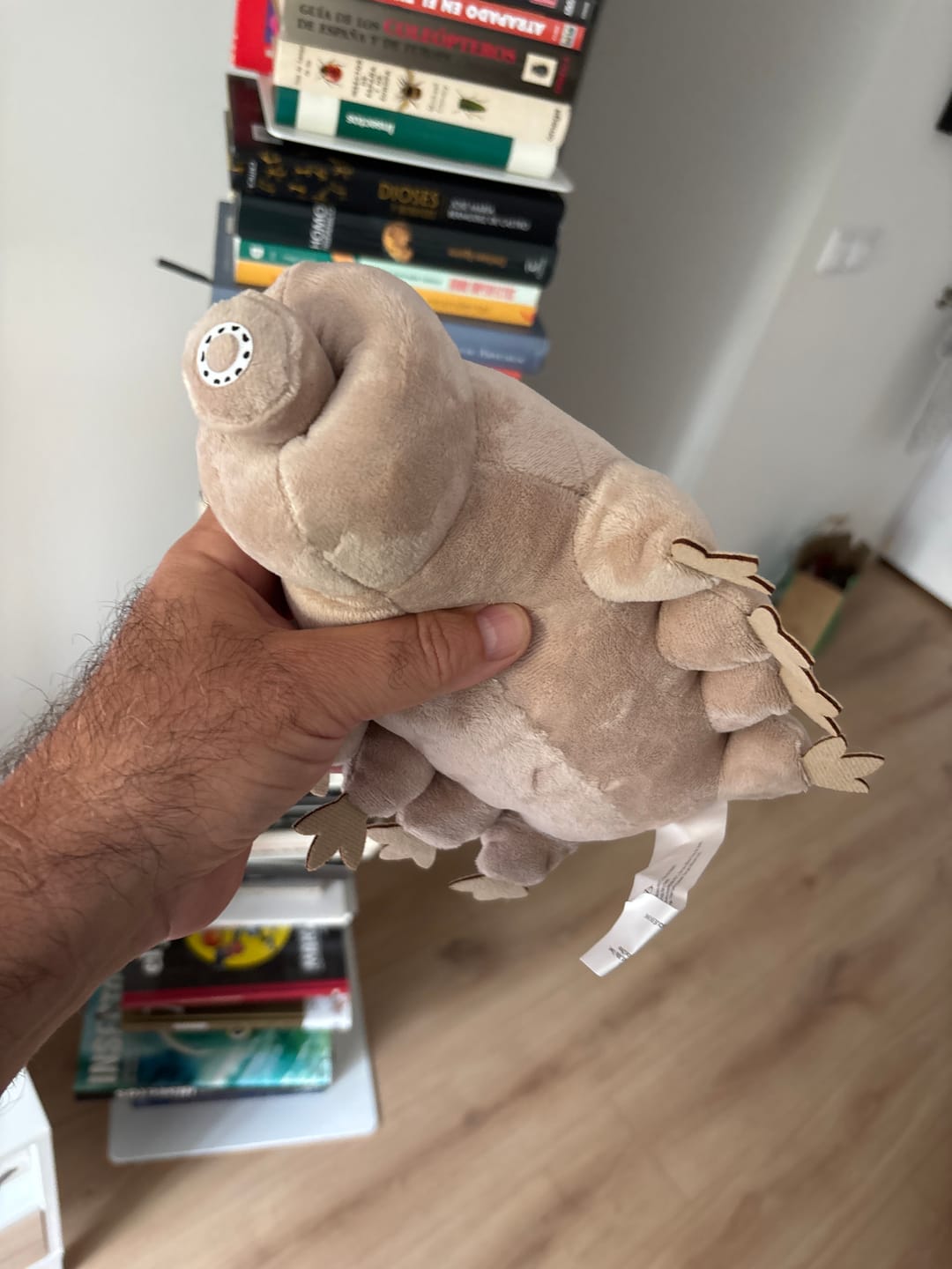 Customer photo review of Tardigrade Water Bear Soft Stuffed Plush Toy