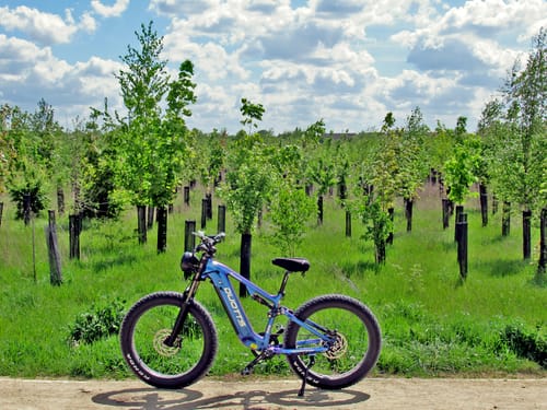 Customer photo review of DUOTTS E26 Electric Bike