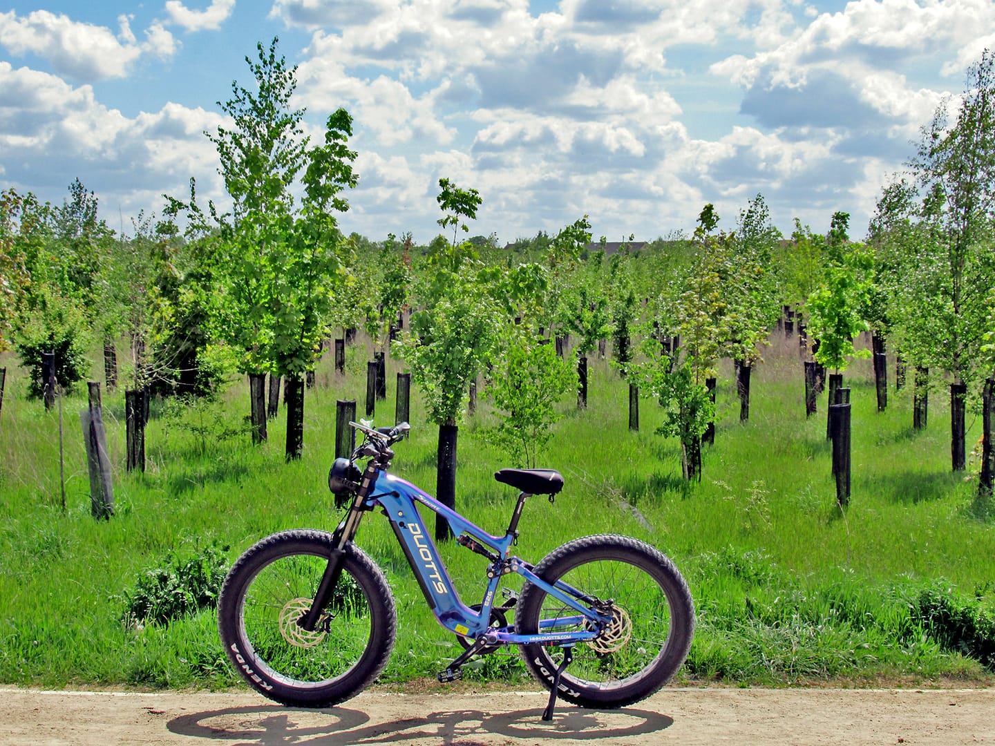 Customer photo review of DUOTTS E26 Electric Bike