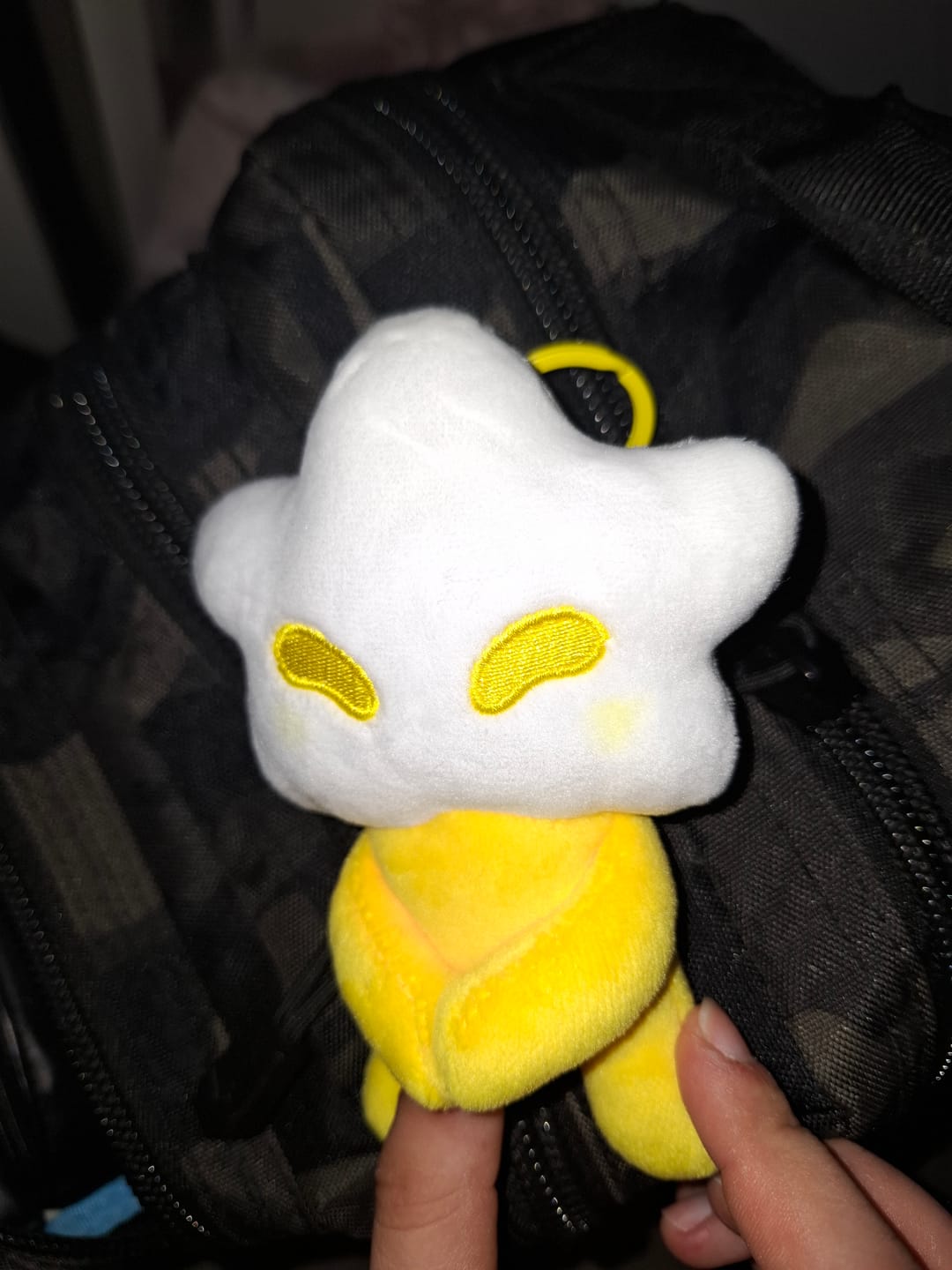 Customer photo review of Adopt a Star Baby Plush Blind Box