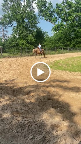 Customer video review of Black Felt Saddle Pad W/Navajo Print