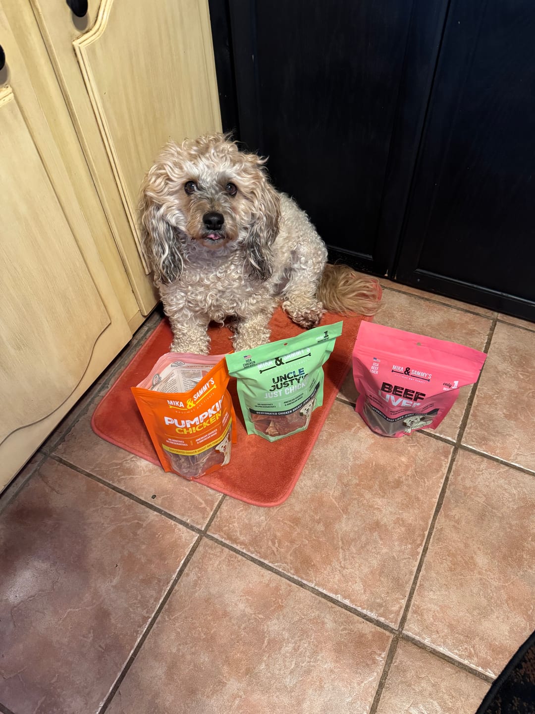 Customer photo review of Beef Gullet Jerky Sticks 6"