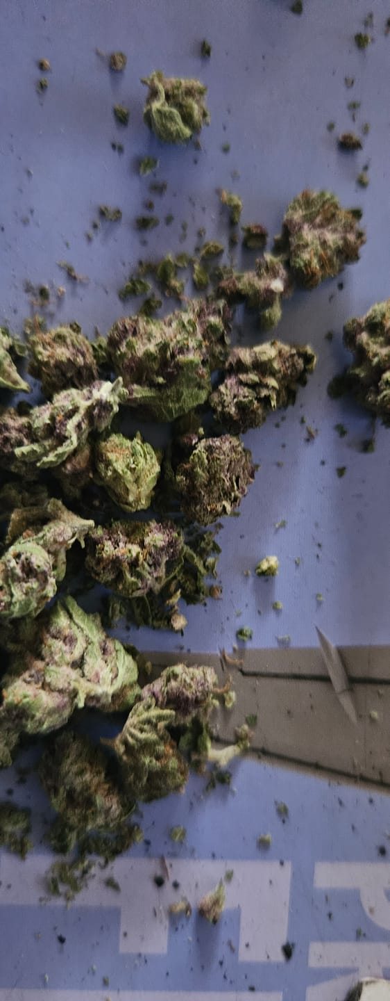 Customer photo review of Berry Gelato - 28 Grams - Indica