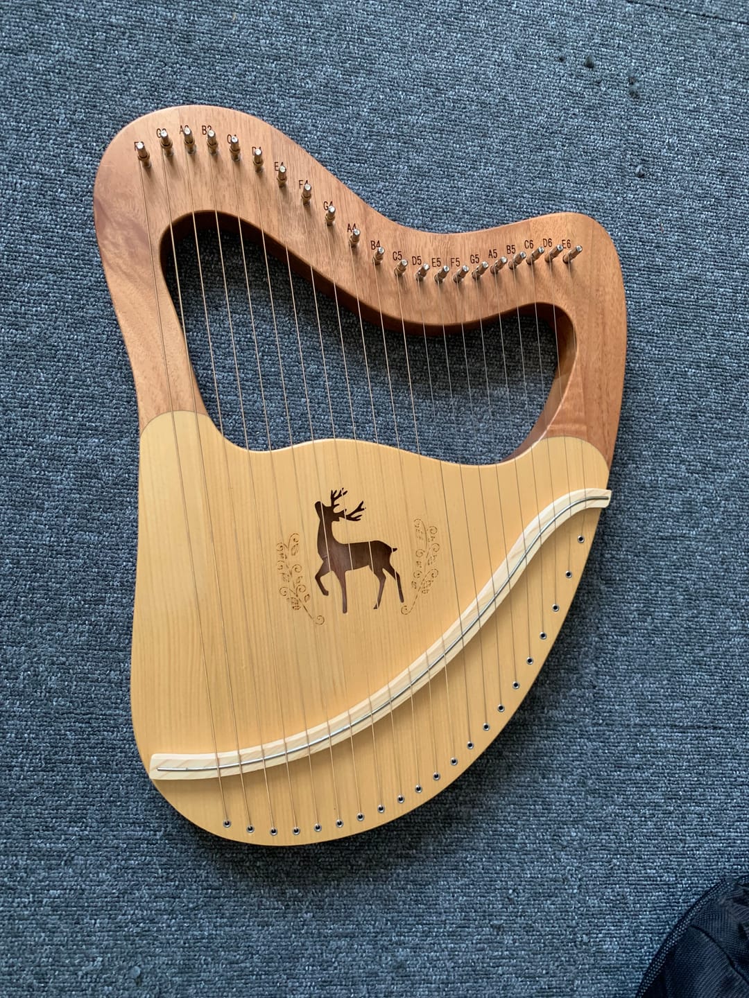 Customer photo review of Lyre Harp 21 String Deer Mahogany w/Case