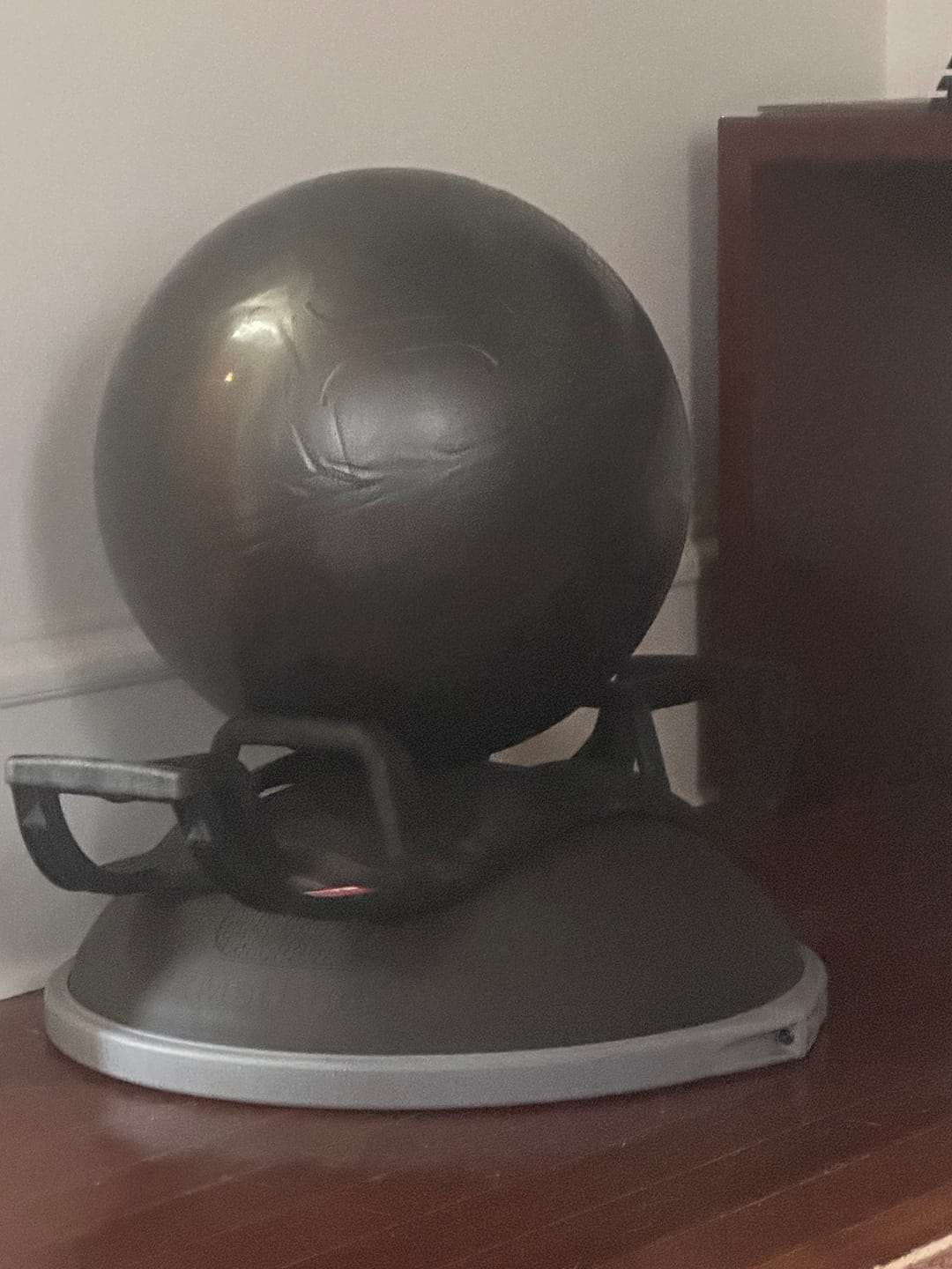 Customer photo review of BOSU® Elite