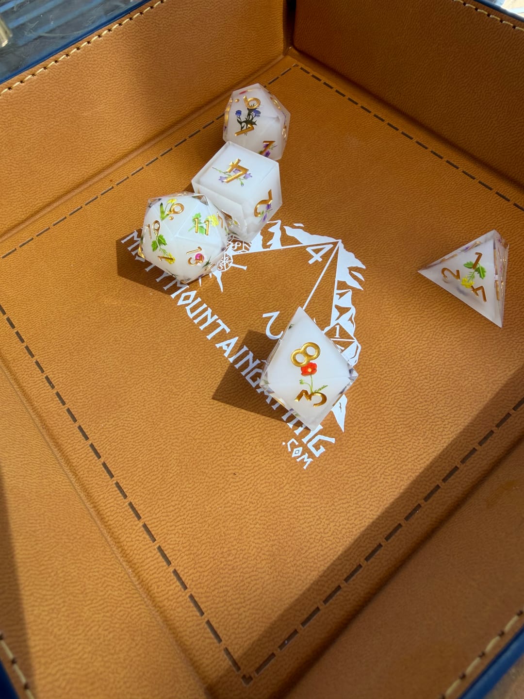 Customer photo review of Garden of the Fey Sharp-Edged Resin Dice Set