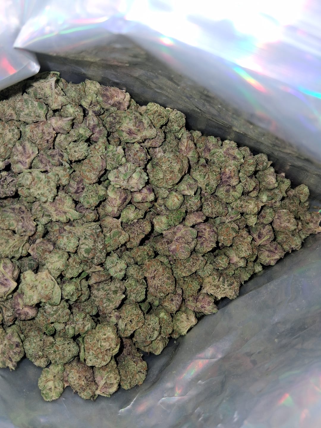 Customer photo review of Wedding Cake Indoor Minis - Bulk Minis - Indica