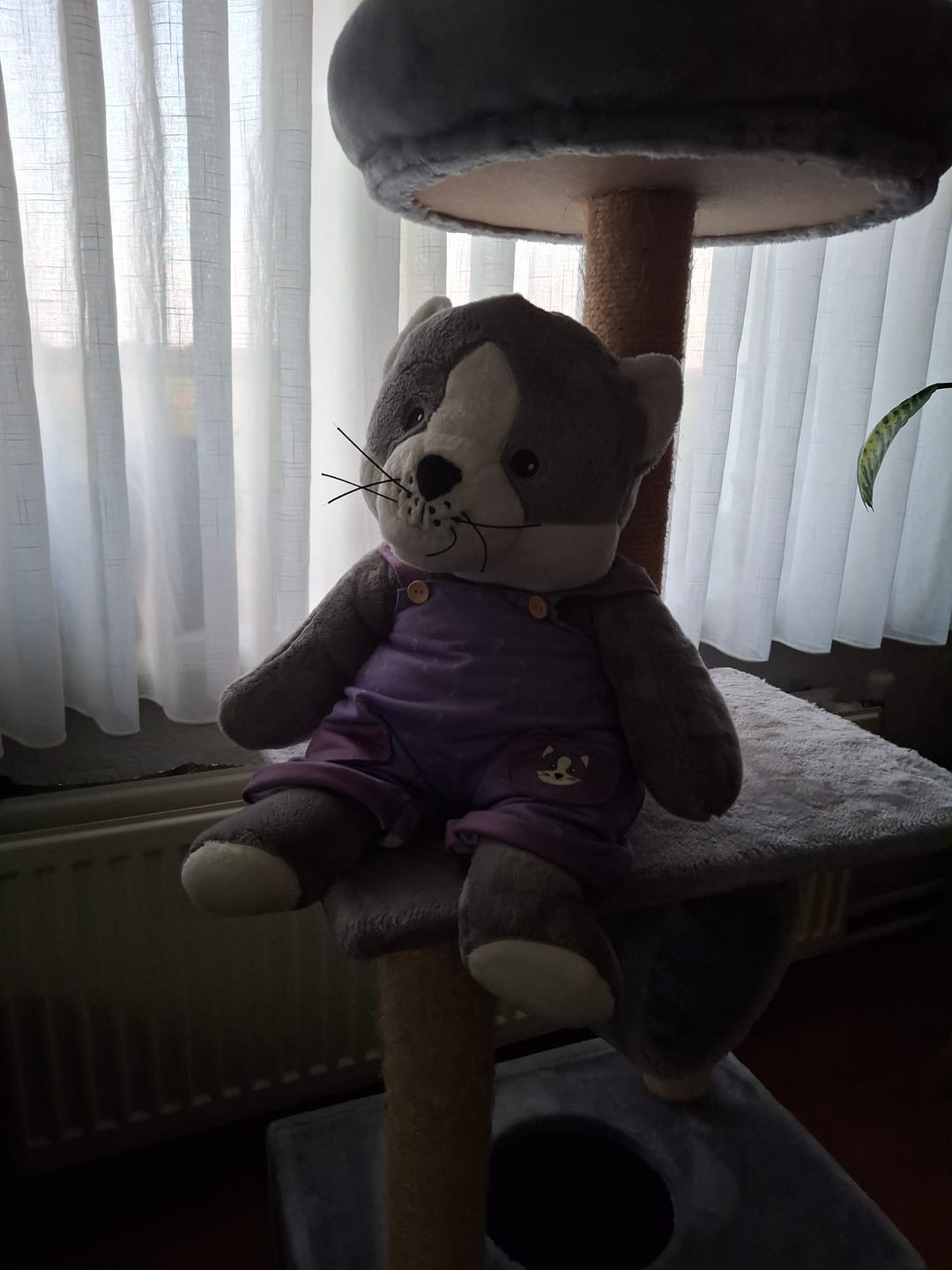 Customer photo review of Lotgenootje Kat 2kg