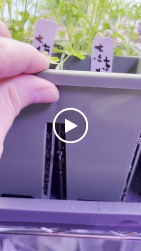 Customer video review of 4-Cell Seed Starter Set