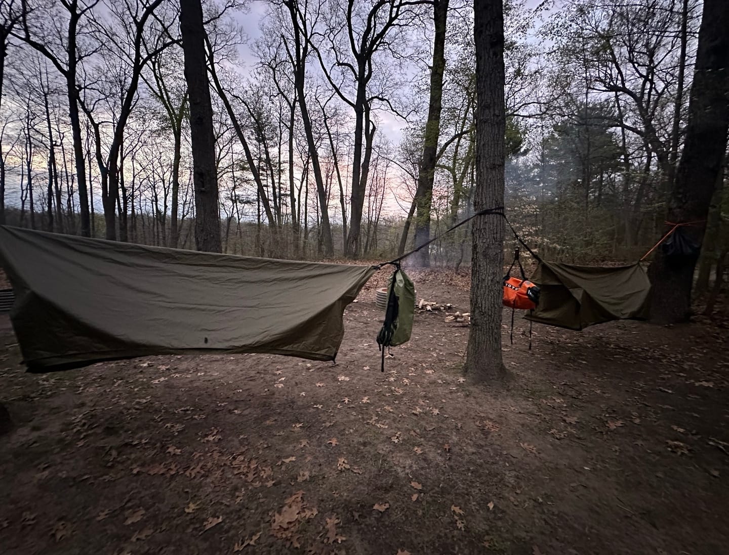 Customer photo review of Haven Safari Pad
