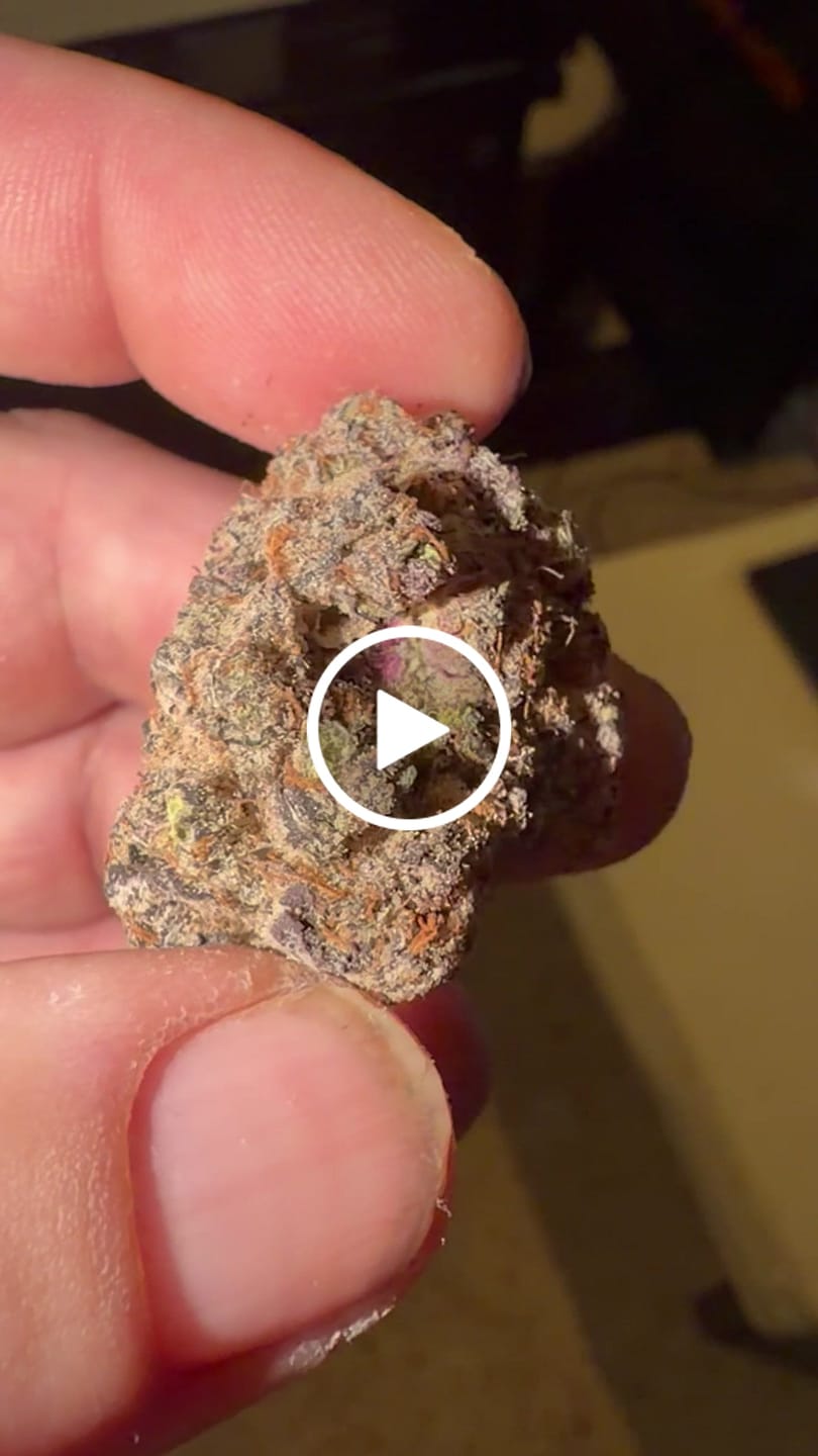 Customer video review of Snozz Berries - Indoor - 4 Grams - Hybrid