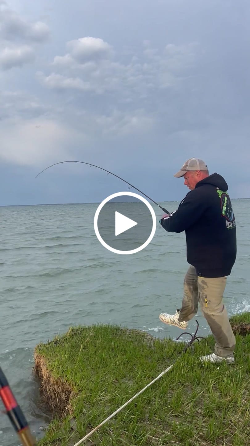 Customer video review of Moss Camo 300-2000 Yard Spools