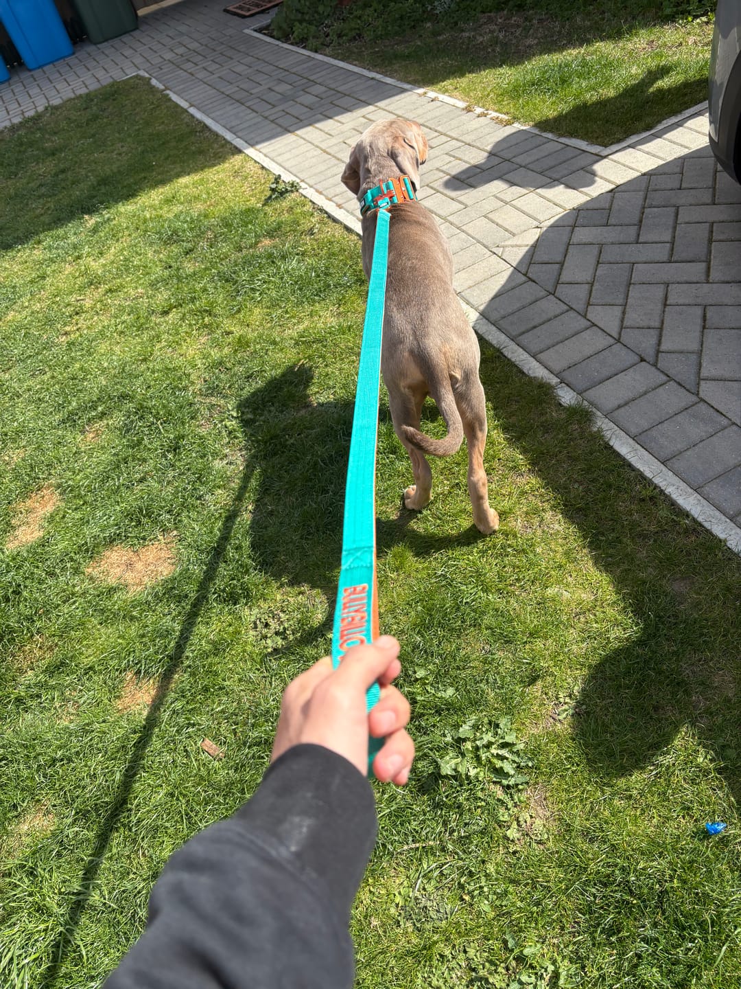 Customer photo review of 1.4m Lighter Swivel Combat Lead | Anti-Tangle & Secure Clip - Turquoise x Orange