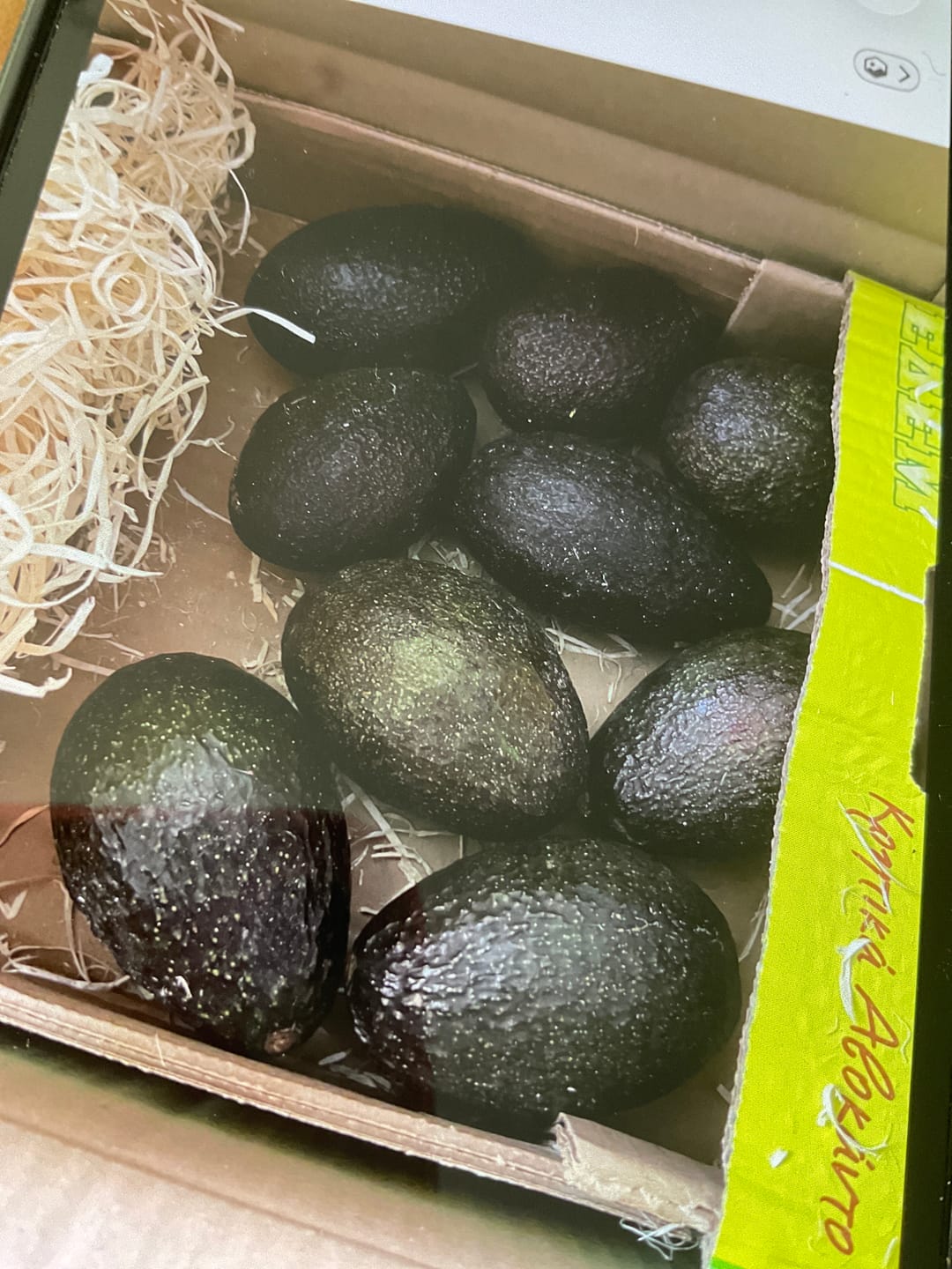 Customer photo review of Avocado Hass 13 Monate baumgereift Bio von Apostolis