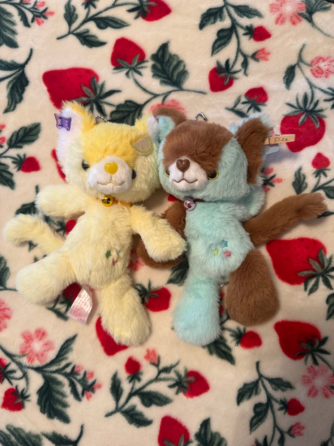 Customer photo review of IMPERFECT NOOPS! Adopt A Noop!