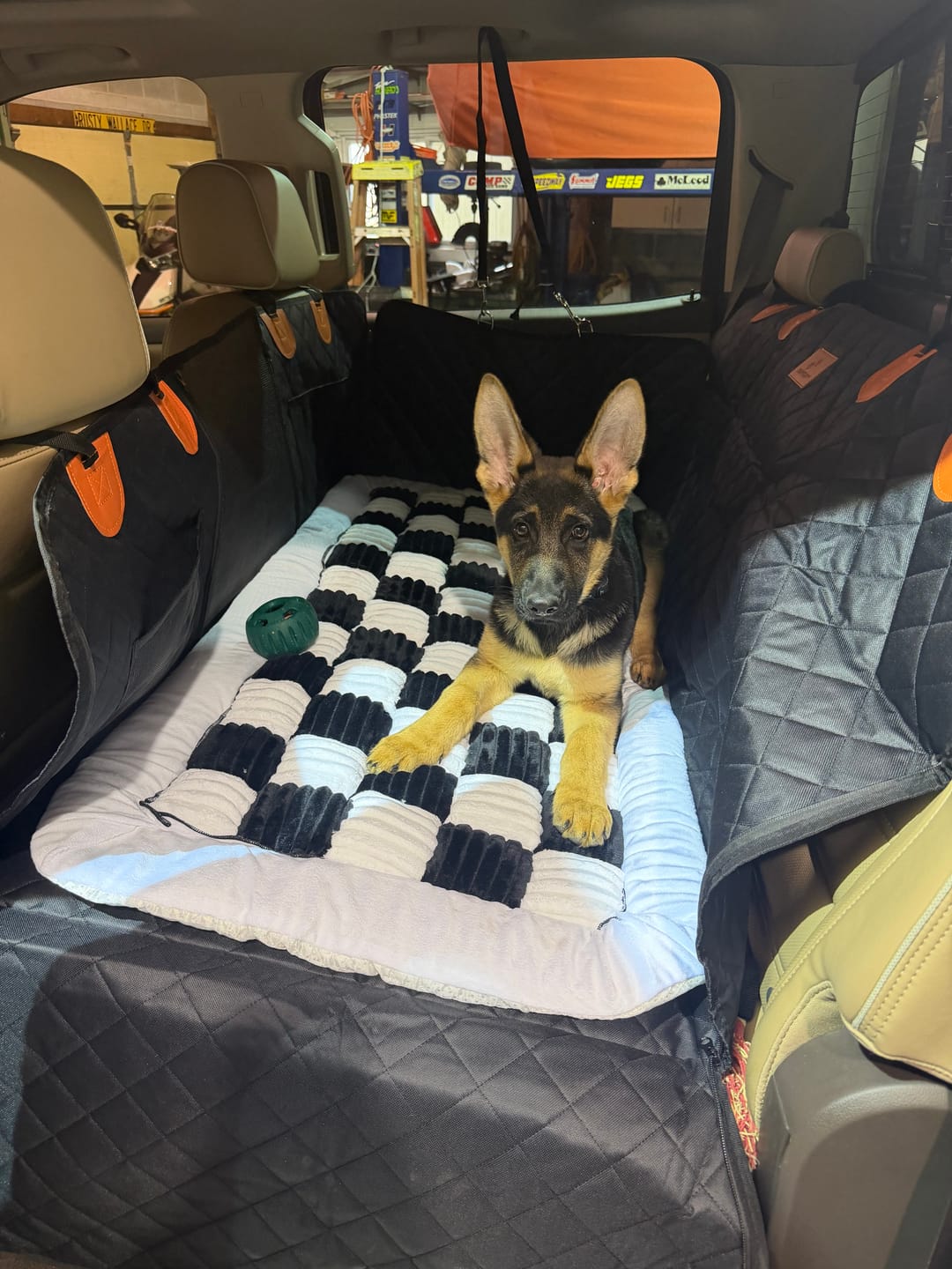 Customer photo review of CozyRider™ 2.0