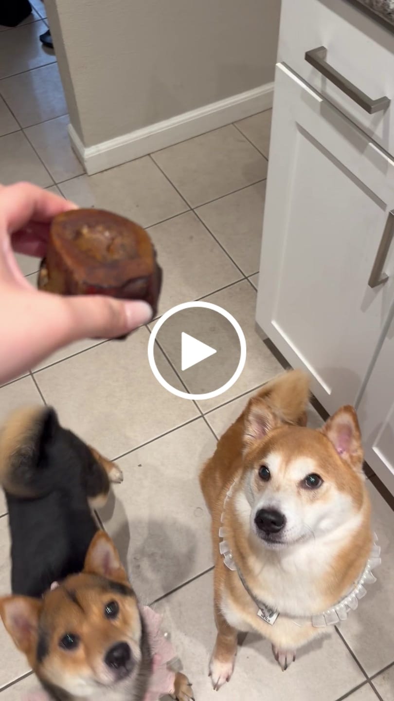 Customer video review of Himalayan Yak Cheese Chew Dog Treat