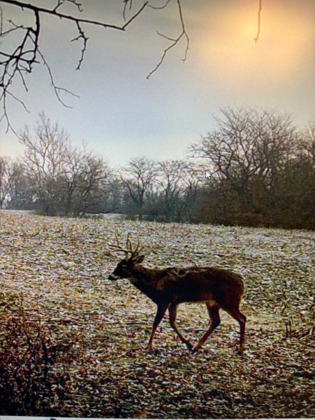 Customer photo review of FLASH SALE VisX/VisMax 270 Degree Ground Blind | See-Through Duck Blind & Portable Pop-Up Deer Blind | Camouflage Hunting Blinds & Best Budget Ground Options