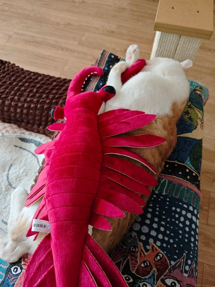 Customer photo review of Anomalocaris Plush – Soft, Realistic Cambrian Predator Toy for Prehistoric Fans