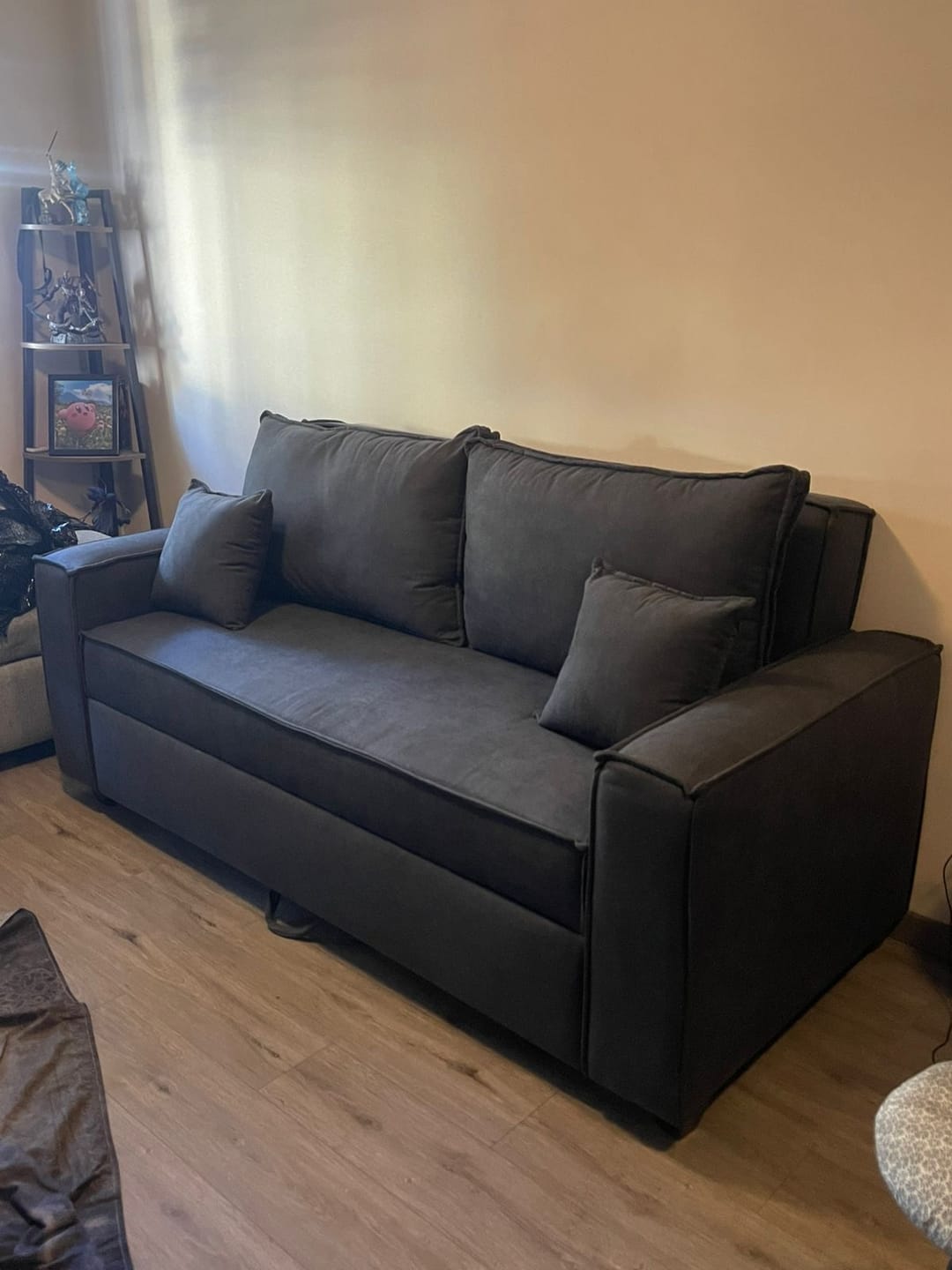 Customer photo review of Sofá Cama Mónaco Cojines Grandes