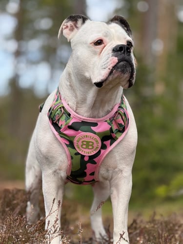 Customer photo review of Comfort Premium Harness | Non Restrictive - Pink Camouflage