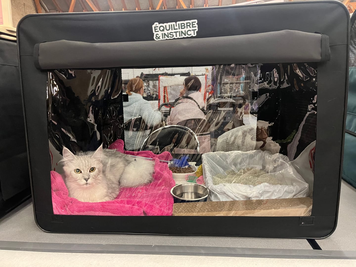 Customer photo review of Cage d'exposition pliable (Chat)