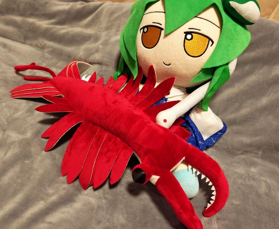 Customer photo review of Anomalocaris Plush – Soft, Realistic Cambrian Predator Toy for Prehistoric Fans