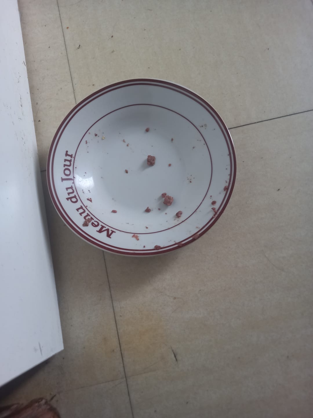 Customer photo review of Pâtées riches en saumon & aux épinards (Chien adulte)