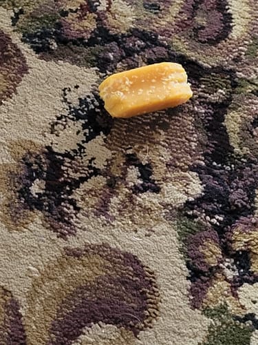A customer's partially chewed Pumpkin Yak Chew on a patterned carpet.