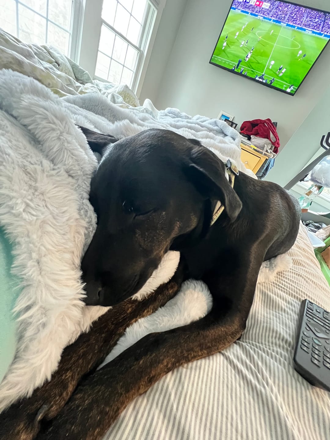 Customer photo review of Cloud Throw Blanket