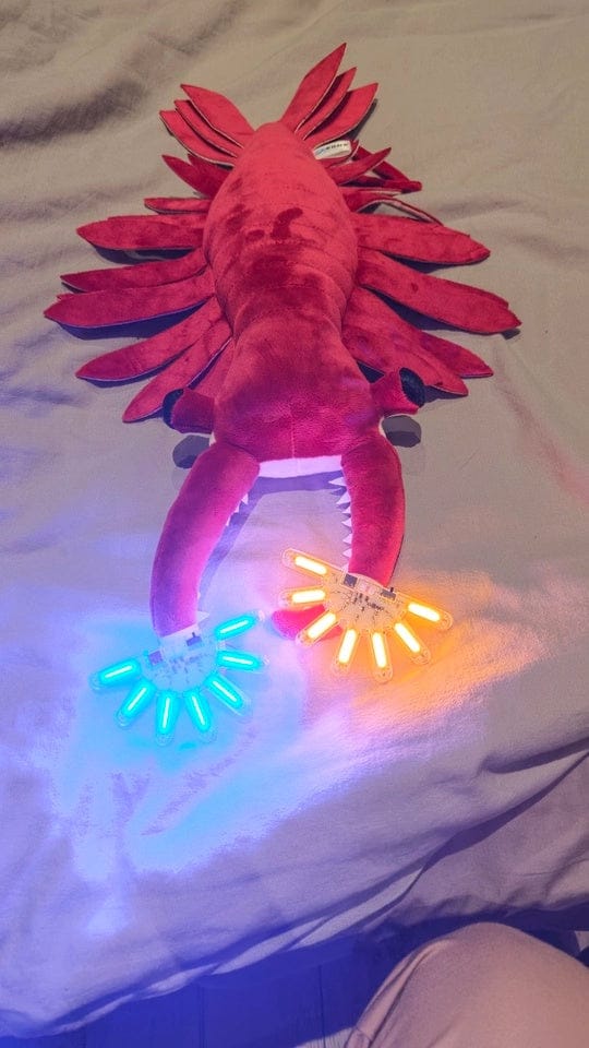 Customer photo review of Anomalocaris Plush – Soft, Realistic Cambrian Predator Toy for Prehistoric Fans