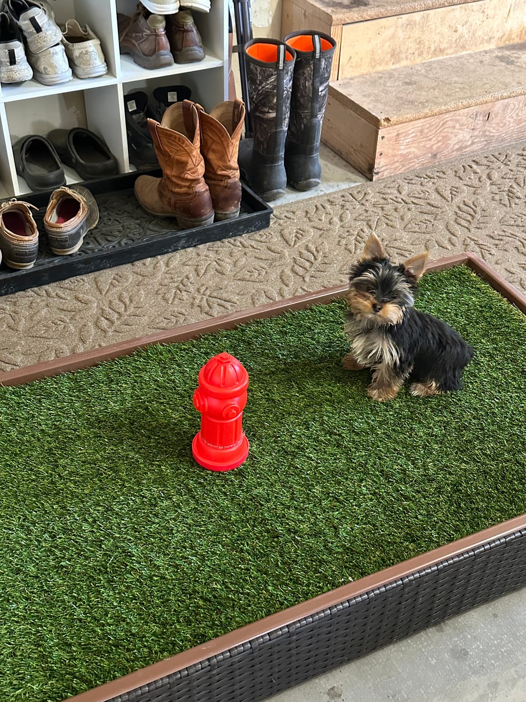 Customer photo review of Porch Potty STANDARD