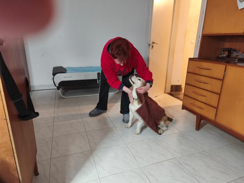 Customer photo review of Szuper Nedvszívó Mikroszálas Kutya Törölköző és Kisállat Fürdőlepedő