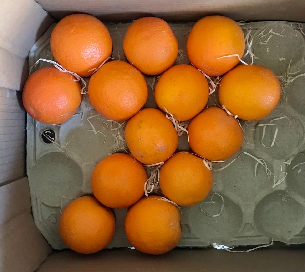 Customer photo review of Saft-Orangen Bio aus Sizilien