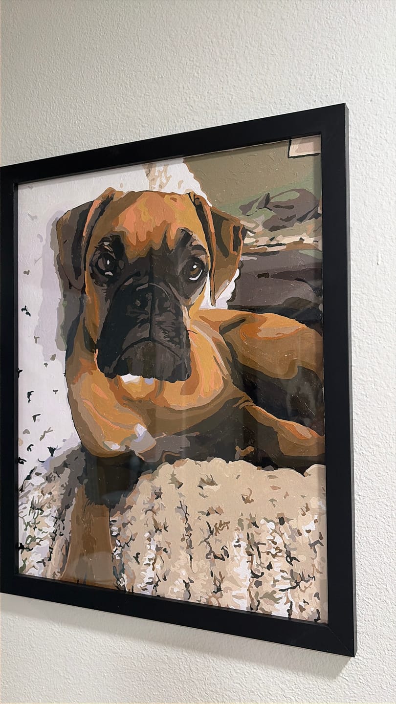 Customer photo review of Paint your photo