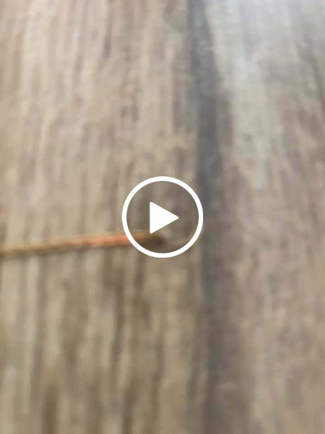Customer video review of Mondstein Armband - Unbearbeitet