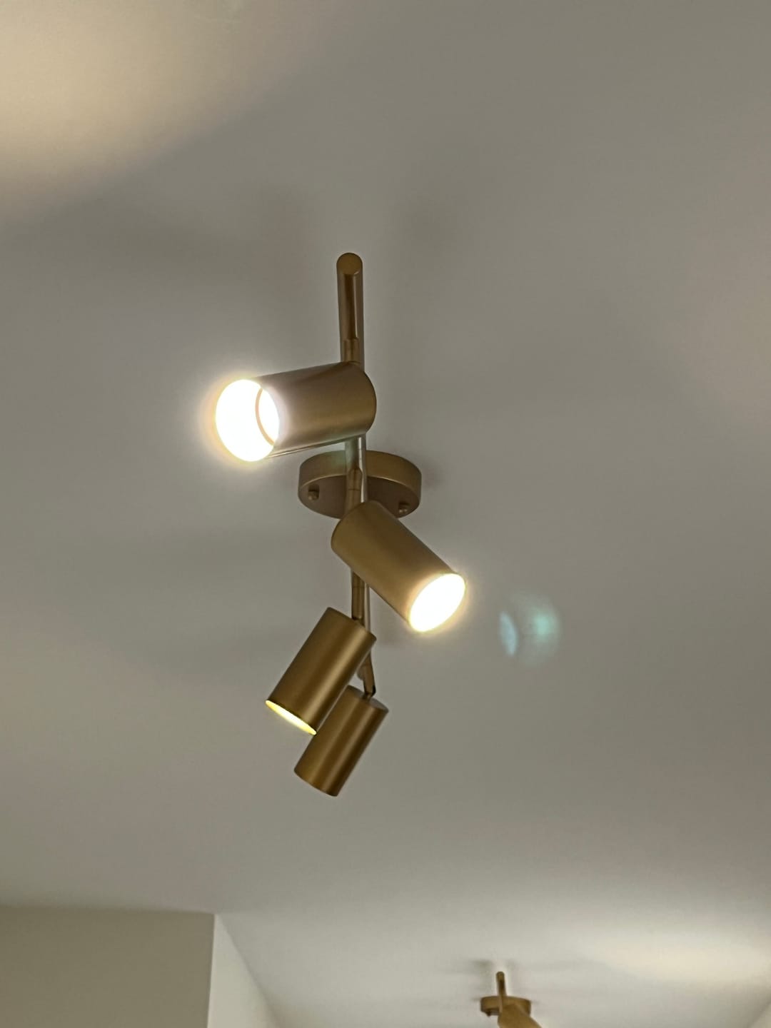 Customer photo review of Modern 4-Light Linear Semi Flush Track Light