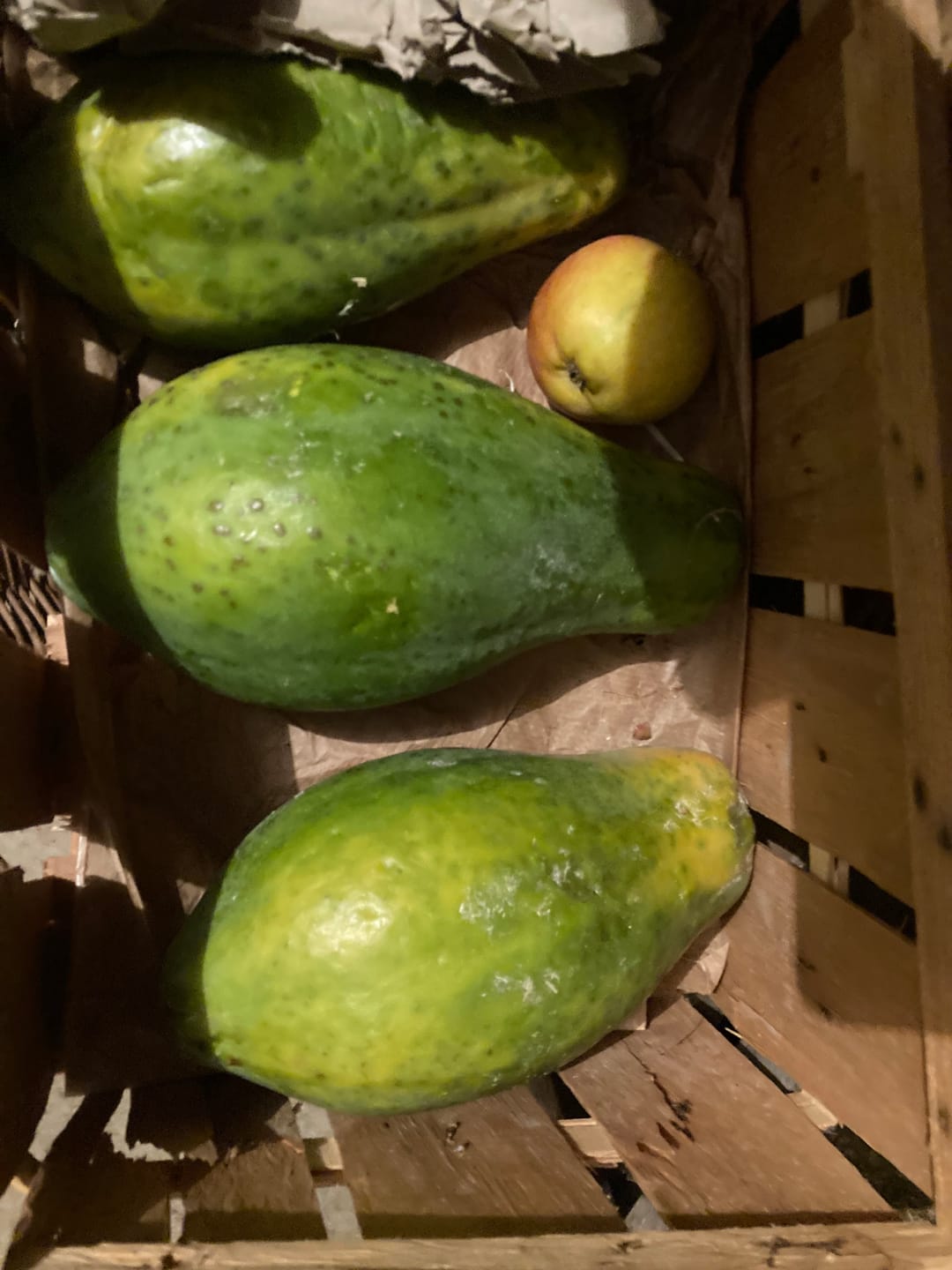 Customer photo review of Papaya Bio von Julian Wochenaktion %
