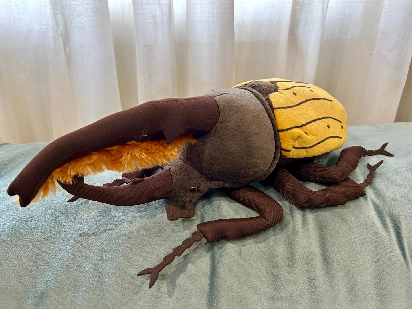 Customer photo review of Hercules Beetles Soft Stuffed Plush Toy