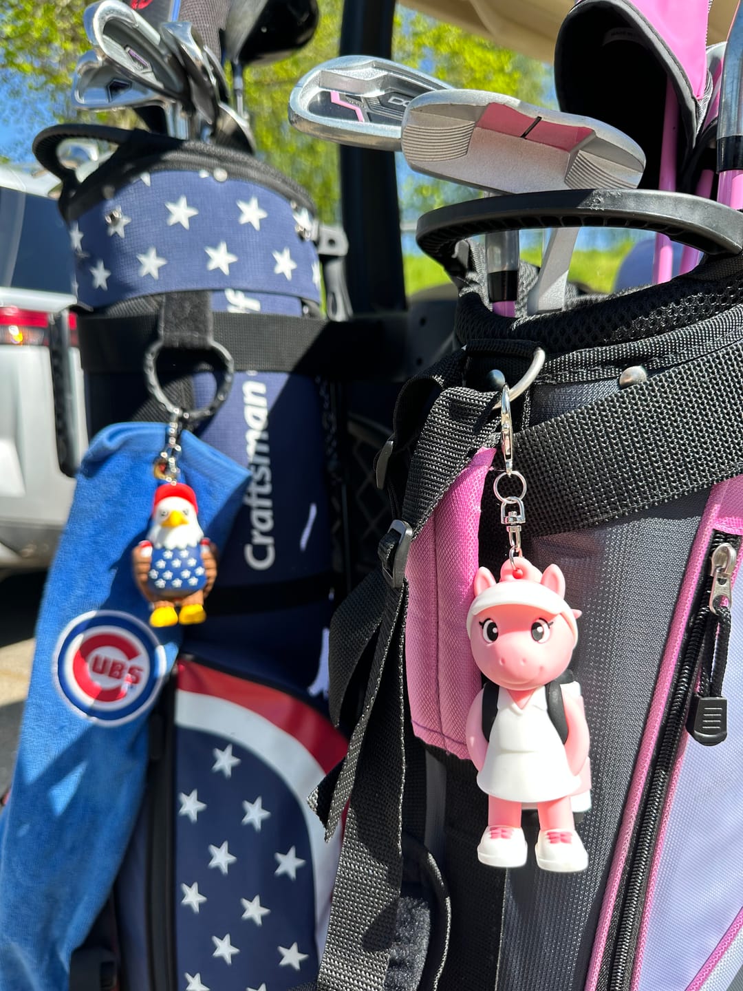 Customer photo review of Pink Pony Caddy