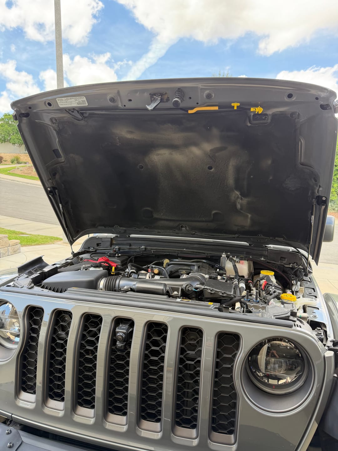 Customer photo review of Beefy Hydraulic Hood QuickLift for JL & JT