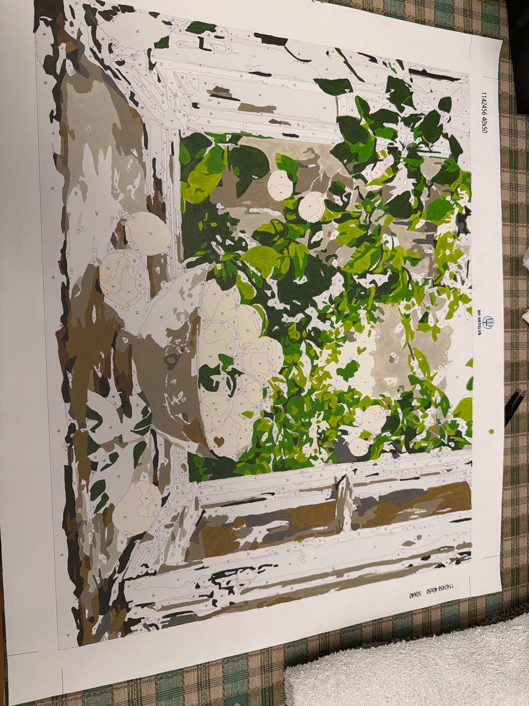 Customer photo review of Lemon Bowl at the Window | Paint by Number