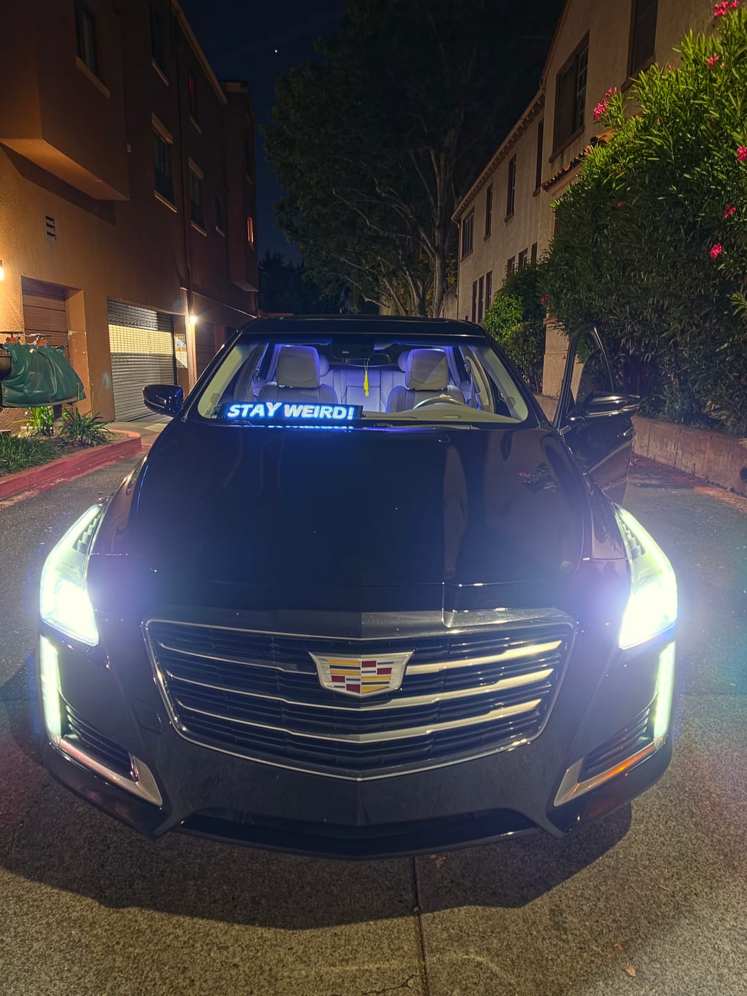 Customer photo review of Electra Eyes - LED Animated Eyes