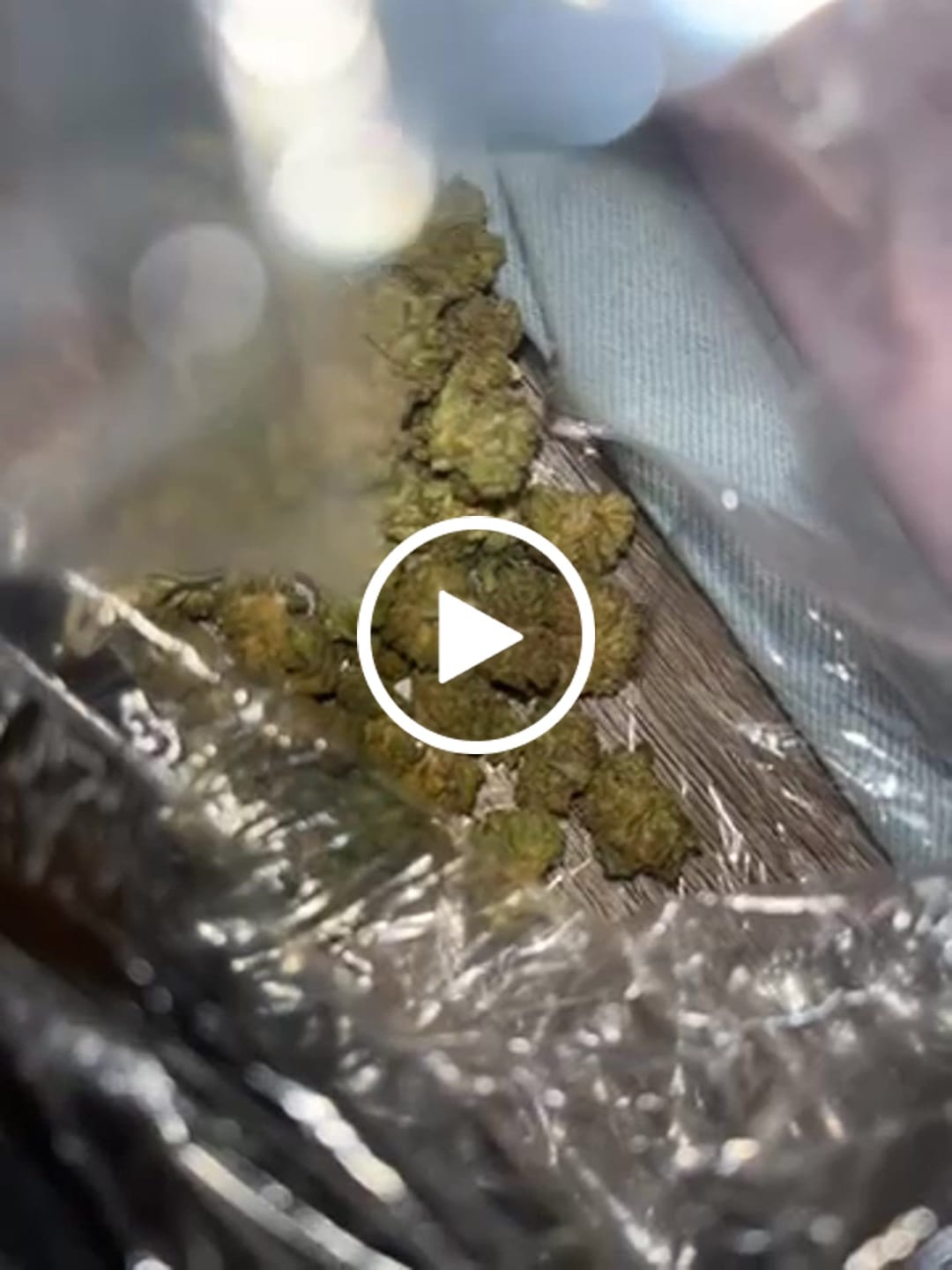 Customer video review of Greenhouse Smalls