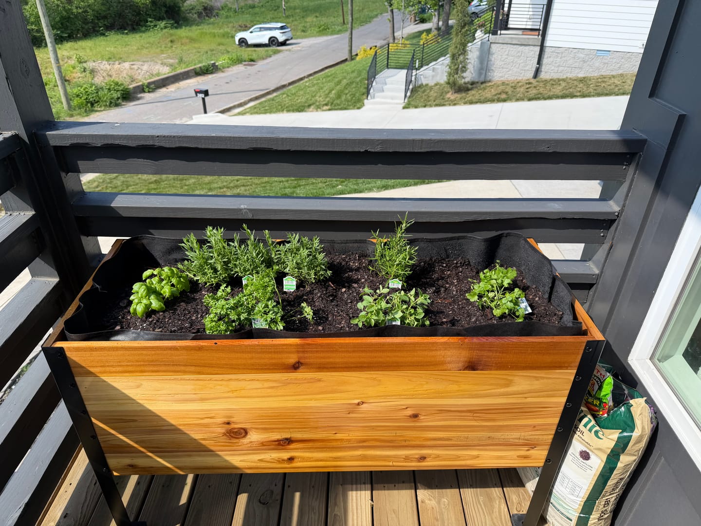 Customer photo review of Greenhouse Cover