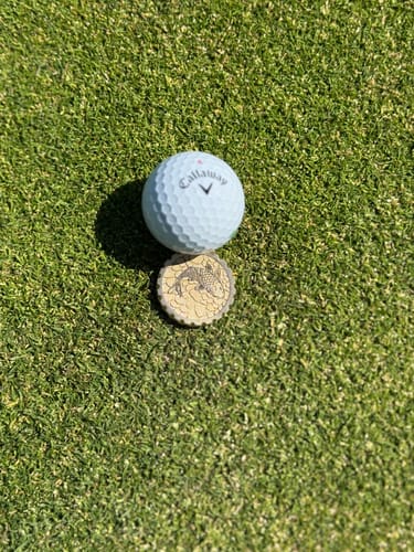 Customer photo review of Koi 2.0 Brass Ball Marker