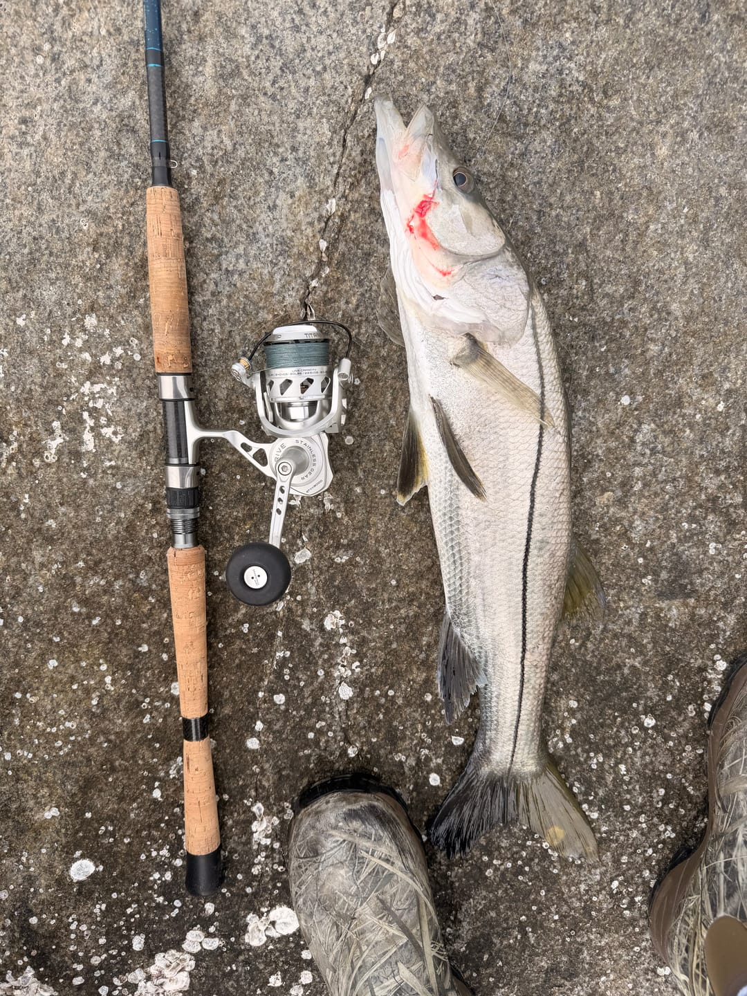 Customer photo review of SaltX II Spinning Reel