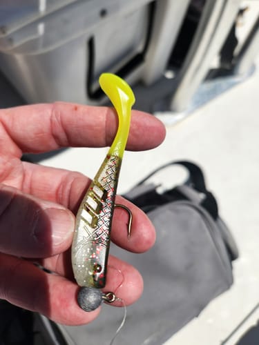 A reviewer holds the Kden 365 Shad Lure, showing its silver body and bright yellow tail rigged on a hook.
