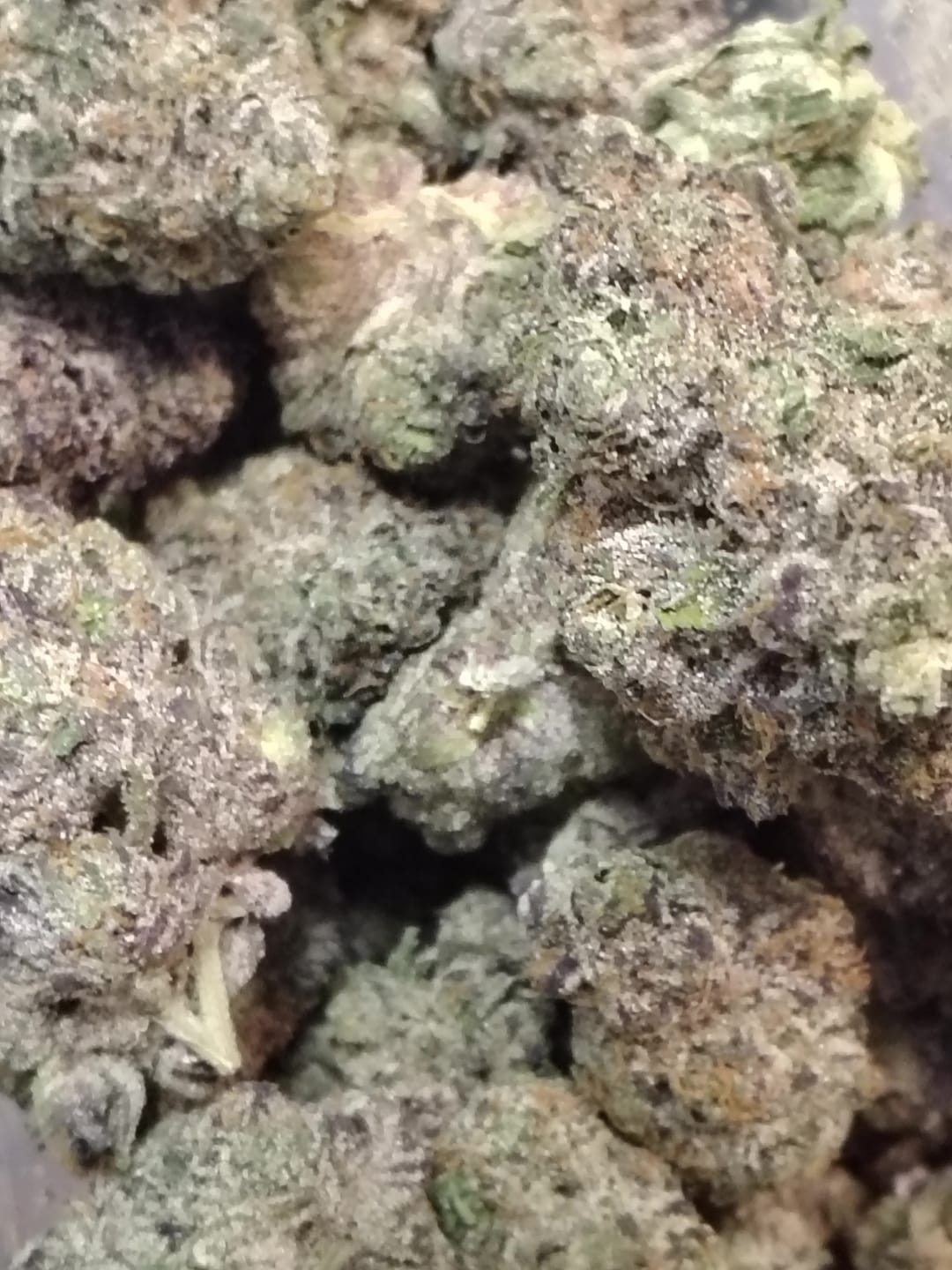 Customer photo review of Elite Boutique Exotics - Limon Berry - 14 Grams - Hybrid